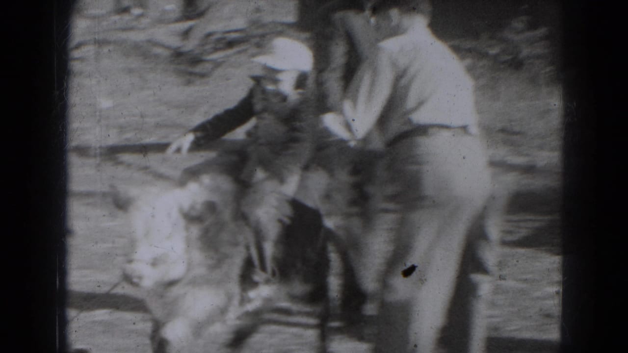 People gather around a small calf in a bright dirt yard.