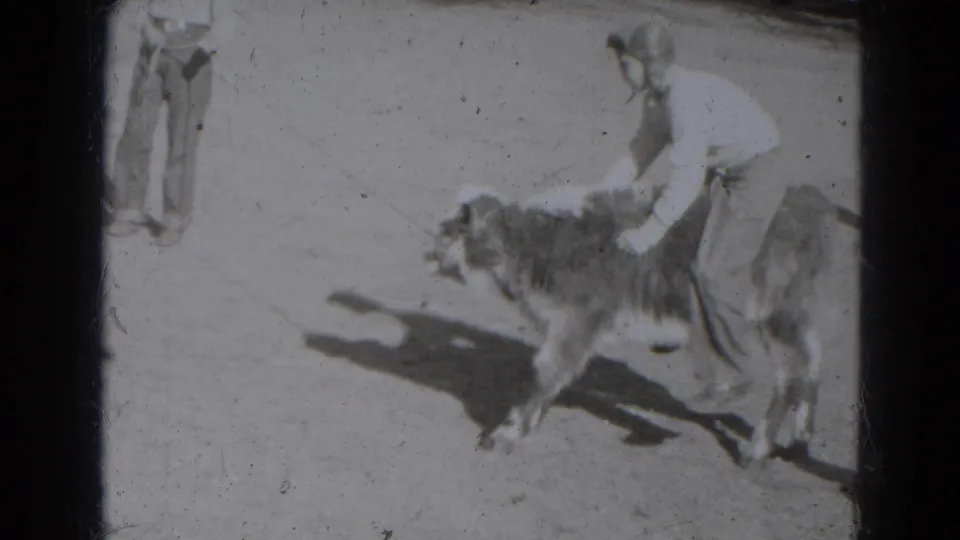 A light-clothed person steadies or guides a small calf while another figure stands at the edge of the farmyard scene.