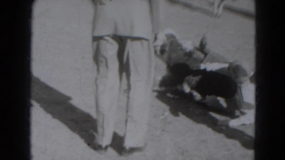 1940s 8mm frame from Lincoln, Nebraska, showing an adult standing near a small leashed dog on sunlit ground.