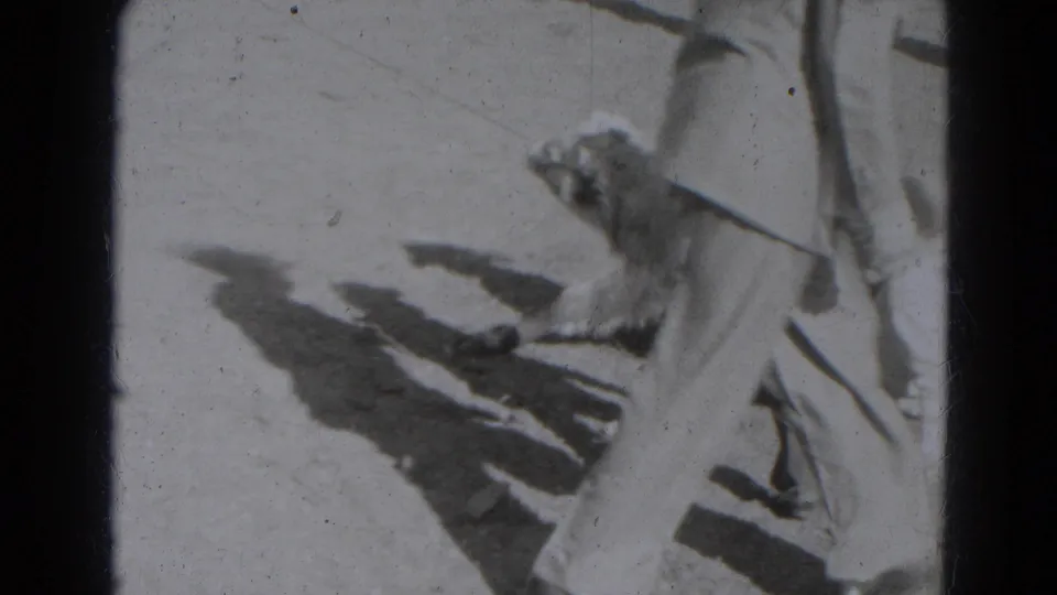 1940s Lincoln home-movie frame showing a small leashed dog beside a cropped adult on bright outdoor ground.