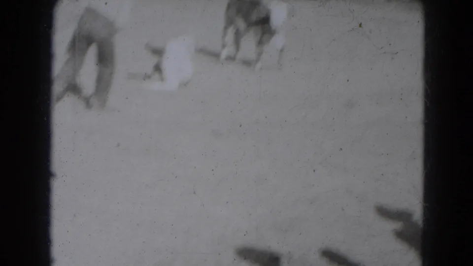 Overexposed 8mm frame with a young cow and several figures scattered across a bright rural yard in Lincoln, Nebraska.