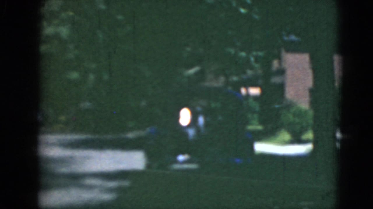 Car headlights on a dim tree-lined residential street.