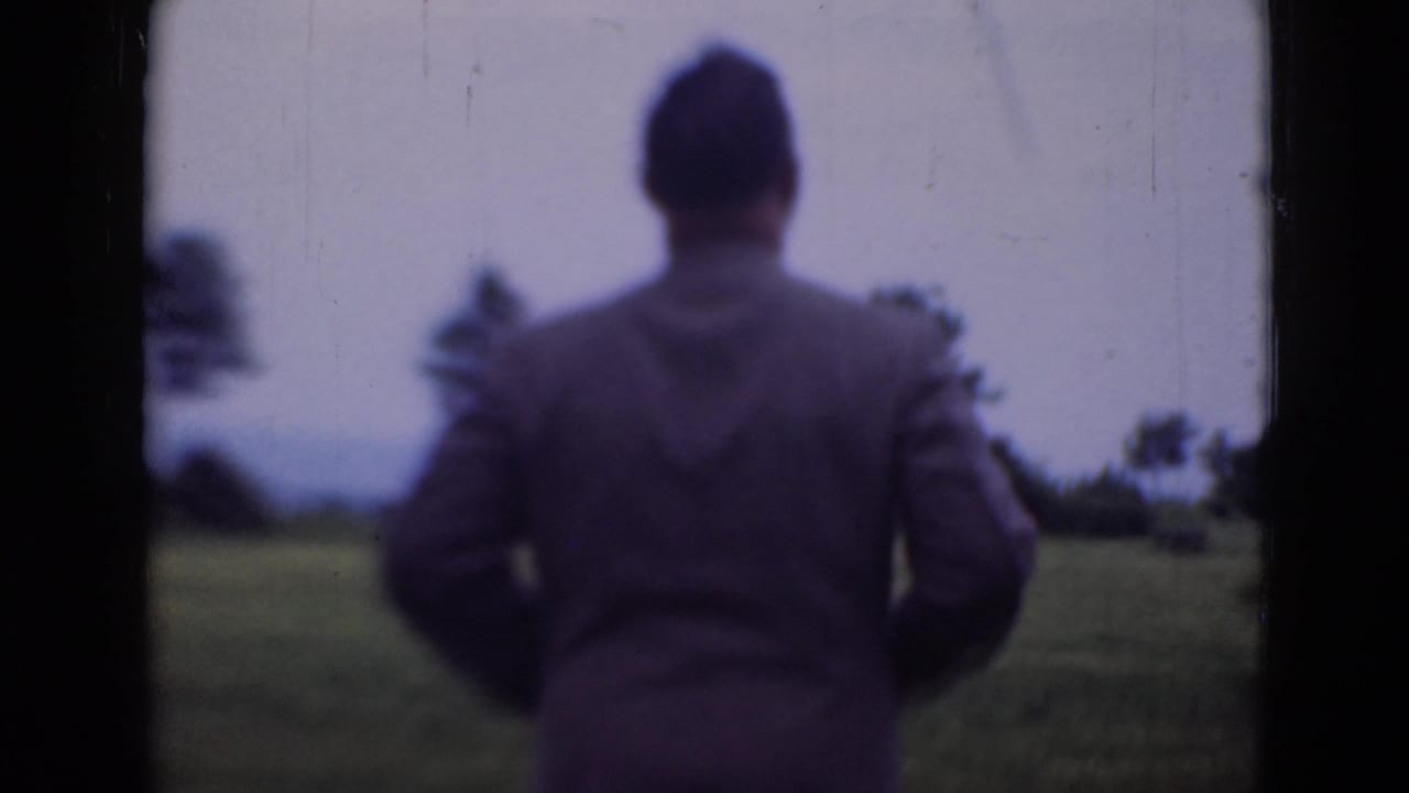 Man seen from behind walking toward an open grassy field through a dark frame.