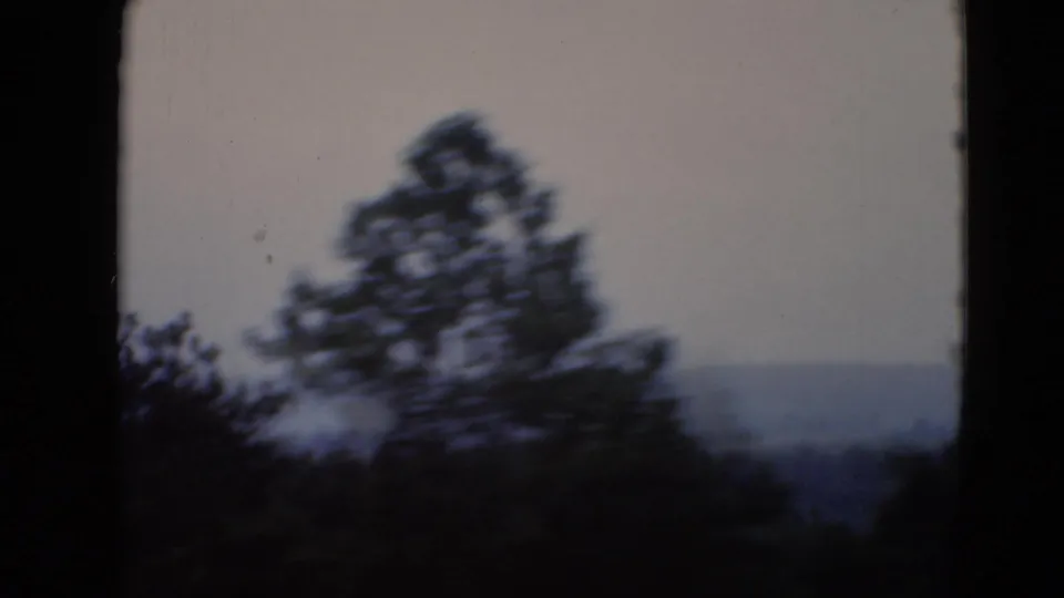 A wind-softened tree and distant hillside fill the 8mm frame after the rural house view.