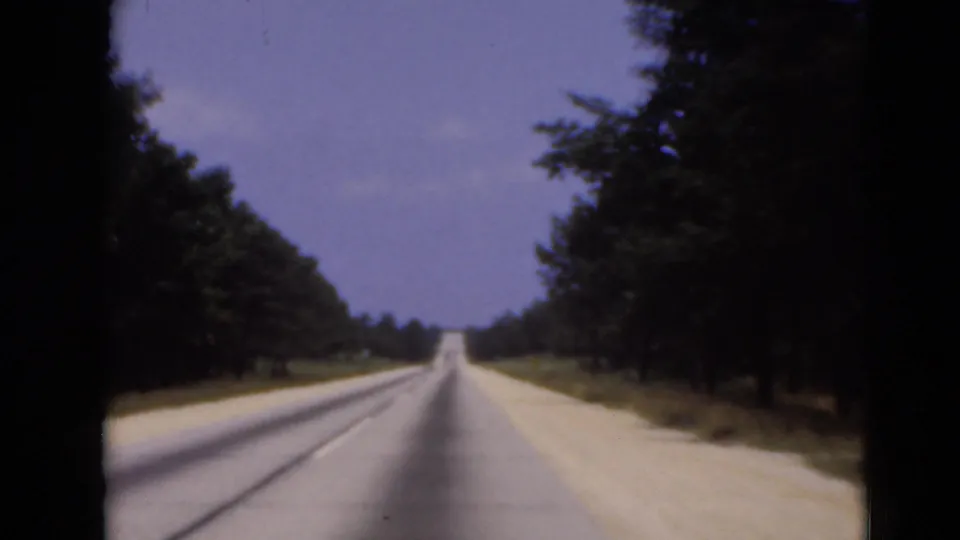 Forward-looking 8mm travel view down a straight tree-lined road, with open sky and soft film color.