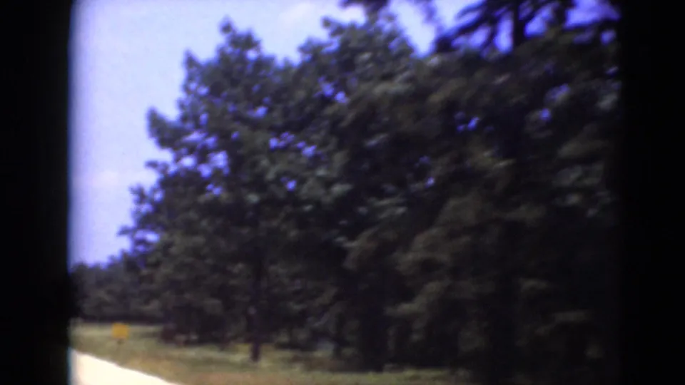 The camera briefly favors the roadside, showing trees and grass blurred by vehicle motion in 8mm footage.