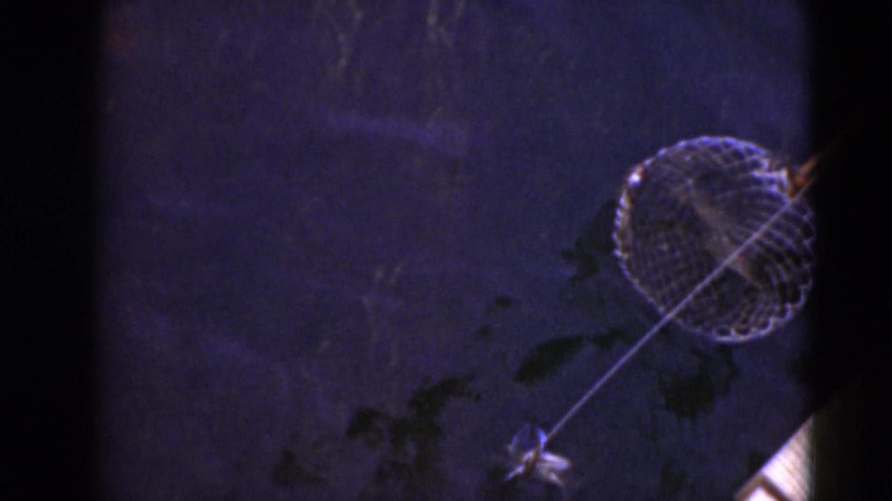 Circular dip net on a pole lowered into dark water.