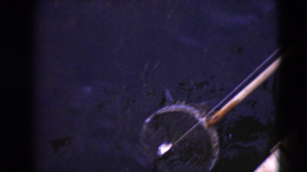 Pole net moving through dark water near the edge of the frame.