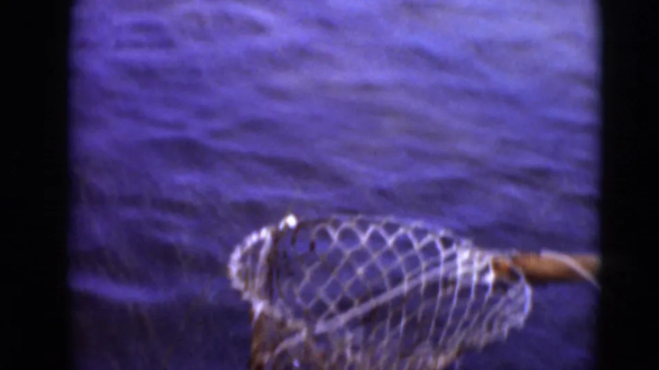 Close 8mm frame of a net and pole over rippled water, part of the crab-catching sequence in the Middletown, Pennsylvania home movie.