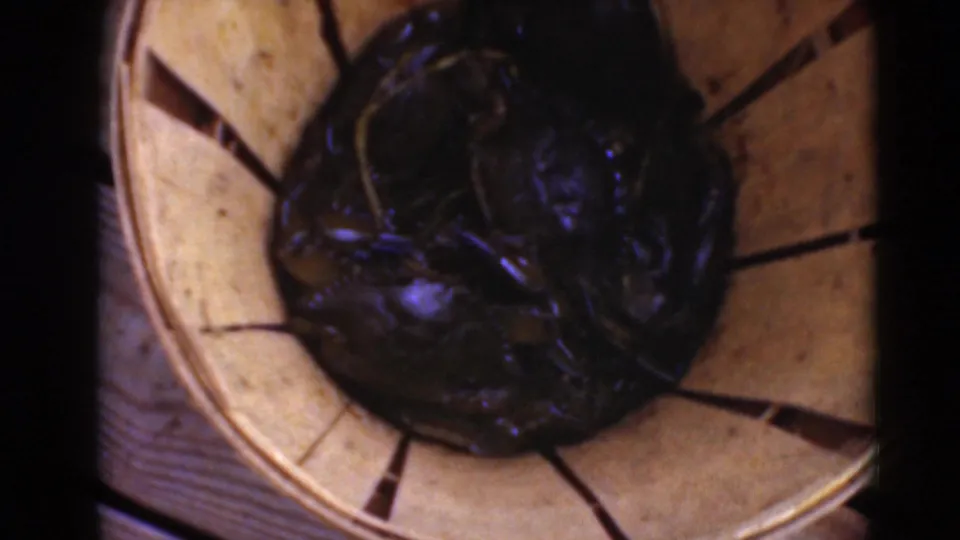 Several live crabs sit in a round woven basket in the final frame of this 1940s Middletown, Pennsylvania crabbing home movie.