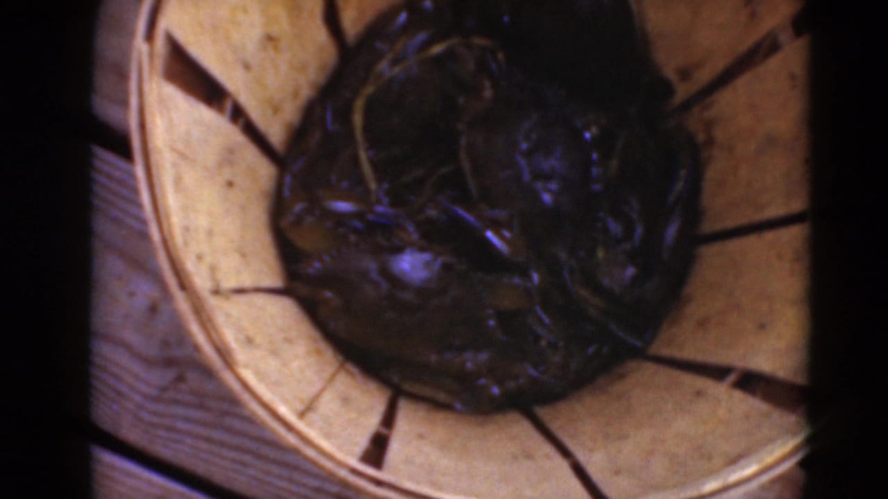 Wooden basket holding dark fish on a dock beside water.
