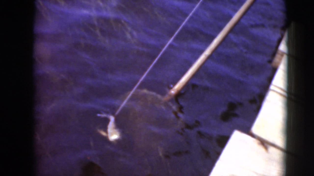 Long pole and net reaching into rippling blue water near a dock edge.