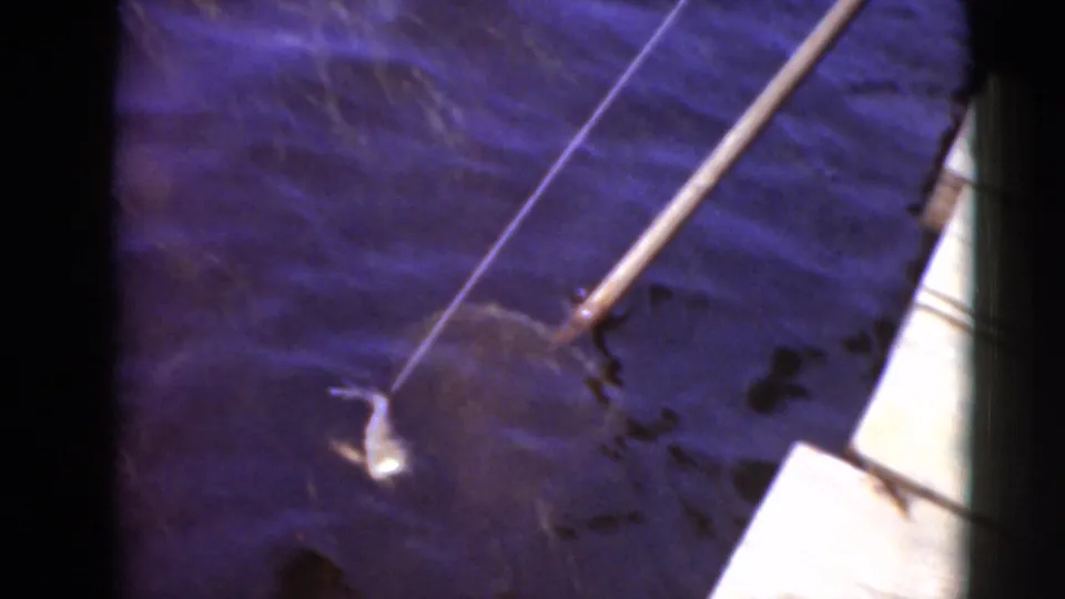 A pole-mounted net reaches into rippling water beside a dock edge in the Middletown home-movie fishing scene.