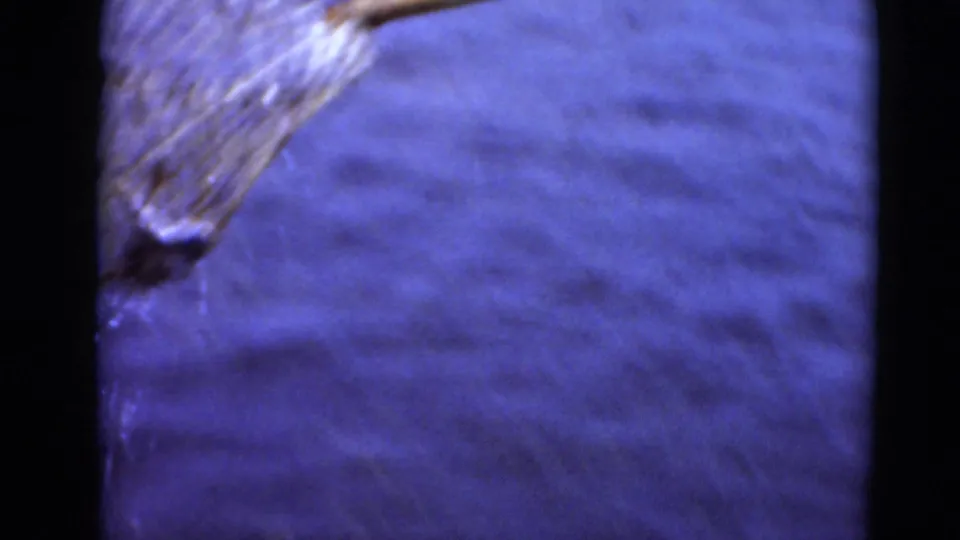 Soft, blurred 8mm frame showing the net or catch moving through blue water during dockside fishing.