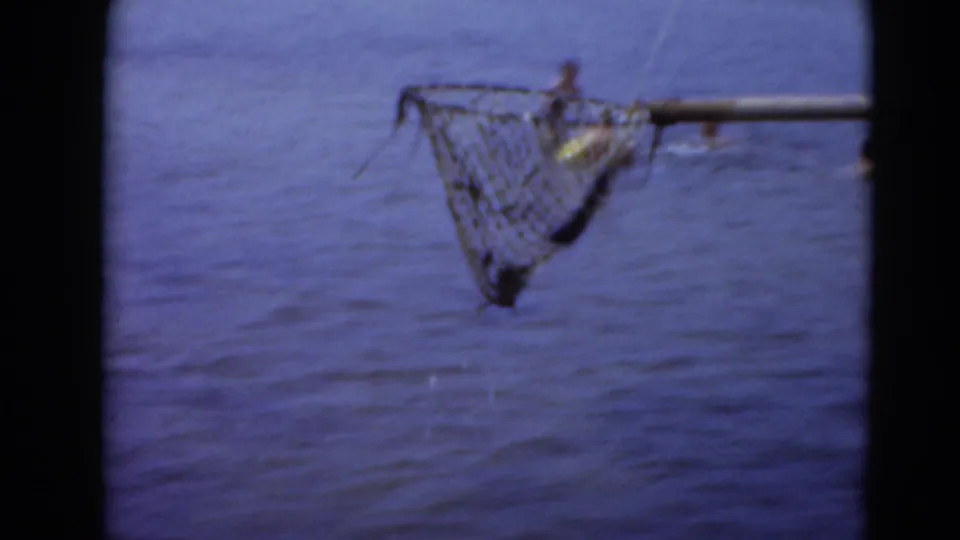 A mesh scoop net attached to a long pole is held over open water in the Middletown, Pennsylvania fishing footage.