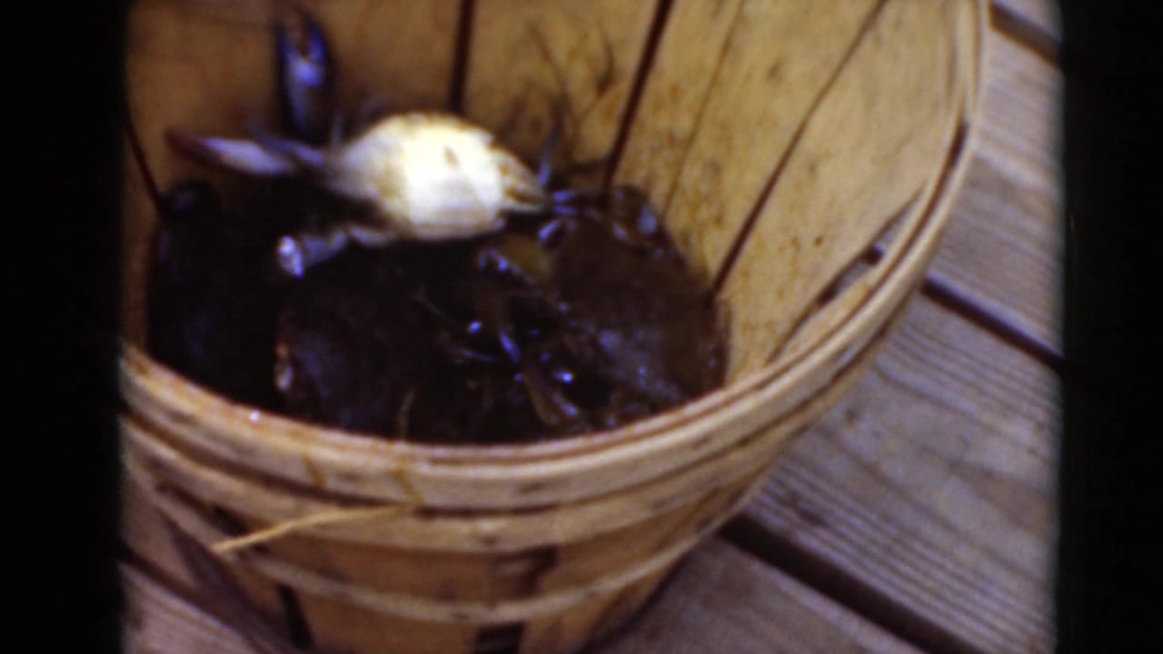 Close 8mm frame of live dark crabs clustered in a woven wooden basket, with wet shells catching light on a plank surface.