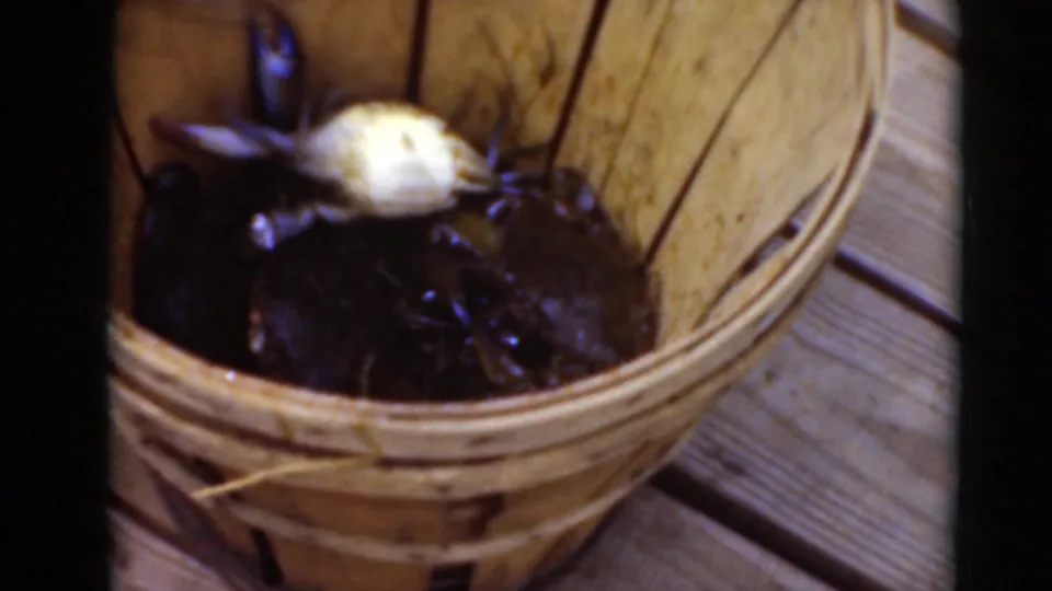 Close 8mm frame of live dark crabs clustered in a woven wooden basket, with wet shells catching light on a plank surface.