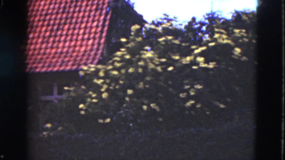 1975 Denmark frame of a residential garden view with shrubs, yellow flowers and a red-tiled roof, with people no longer visible in the frame.