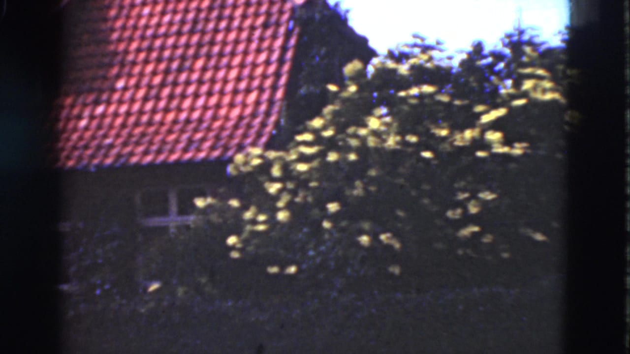 1975 Denmark 8mm frame showing a red tiled house roof, dark facade, white-framed window and leafy foreground branches.