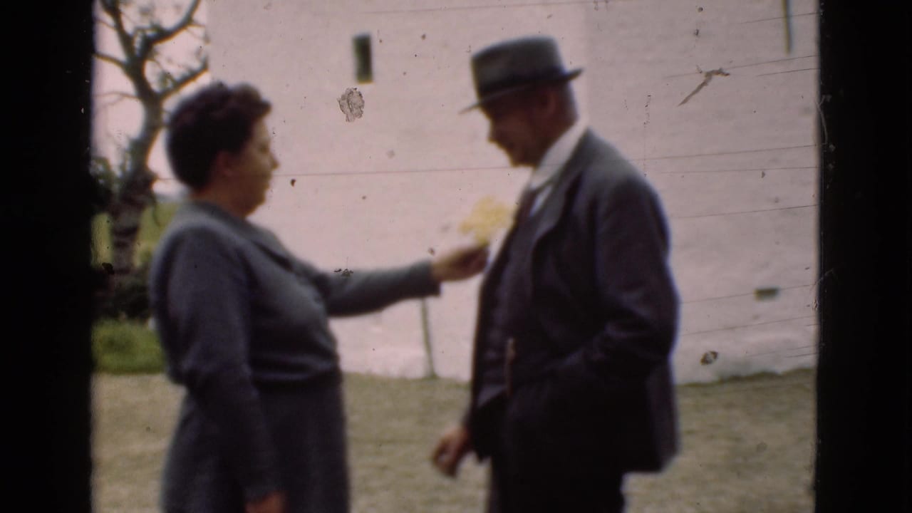 The woman reaches toward the suited man with a yellow flower in a rural Denmark backyard setting supported by the clip metadata.