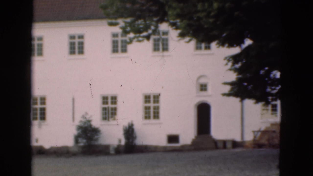 White historic-looking house with multi-pane windows seen through trees.