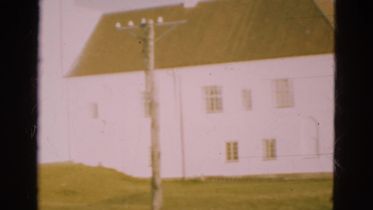 Pale house with dark roof seen through black window mullions and a utility pole.