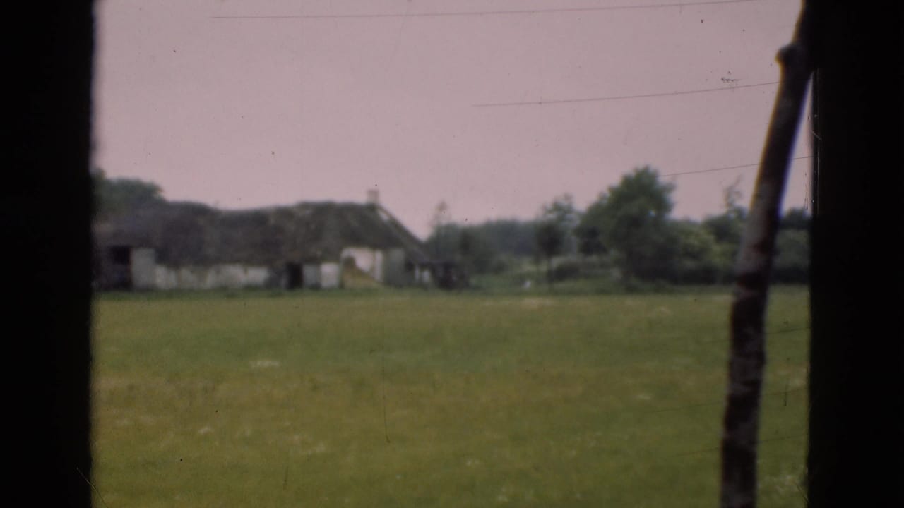 A Danish rural landscape from 1975 shows a thatched cottage and trees across pasture, viewed through dark foreground framing.