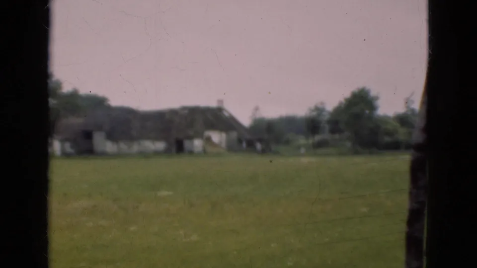 Soft 8mm frame of a green Danish pasture with a low thatched building, distant trees, and dark foreground framing.