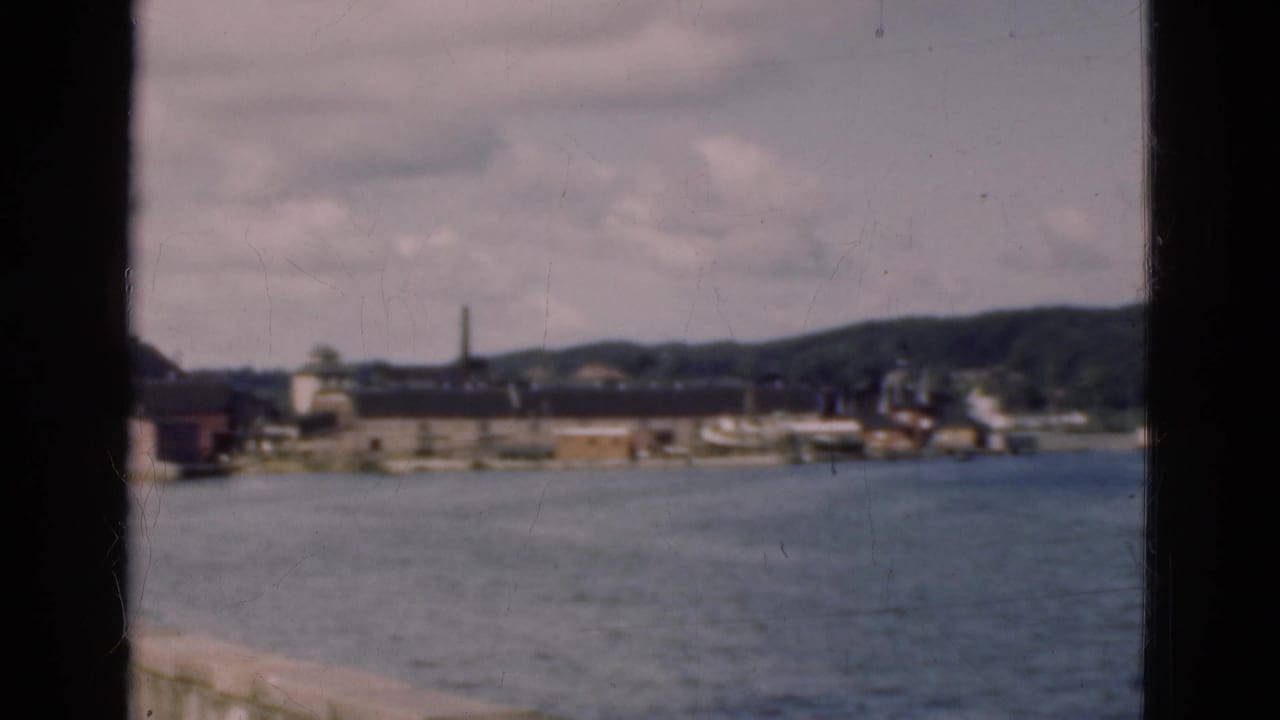Distant waterfront buildings and boats across calm water, framed by dark film edges.