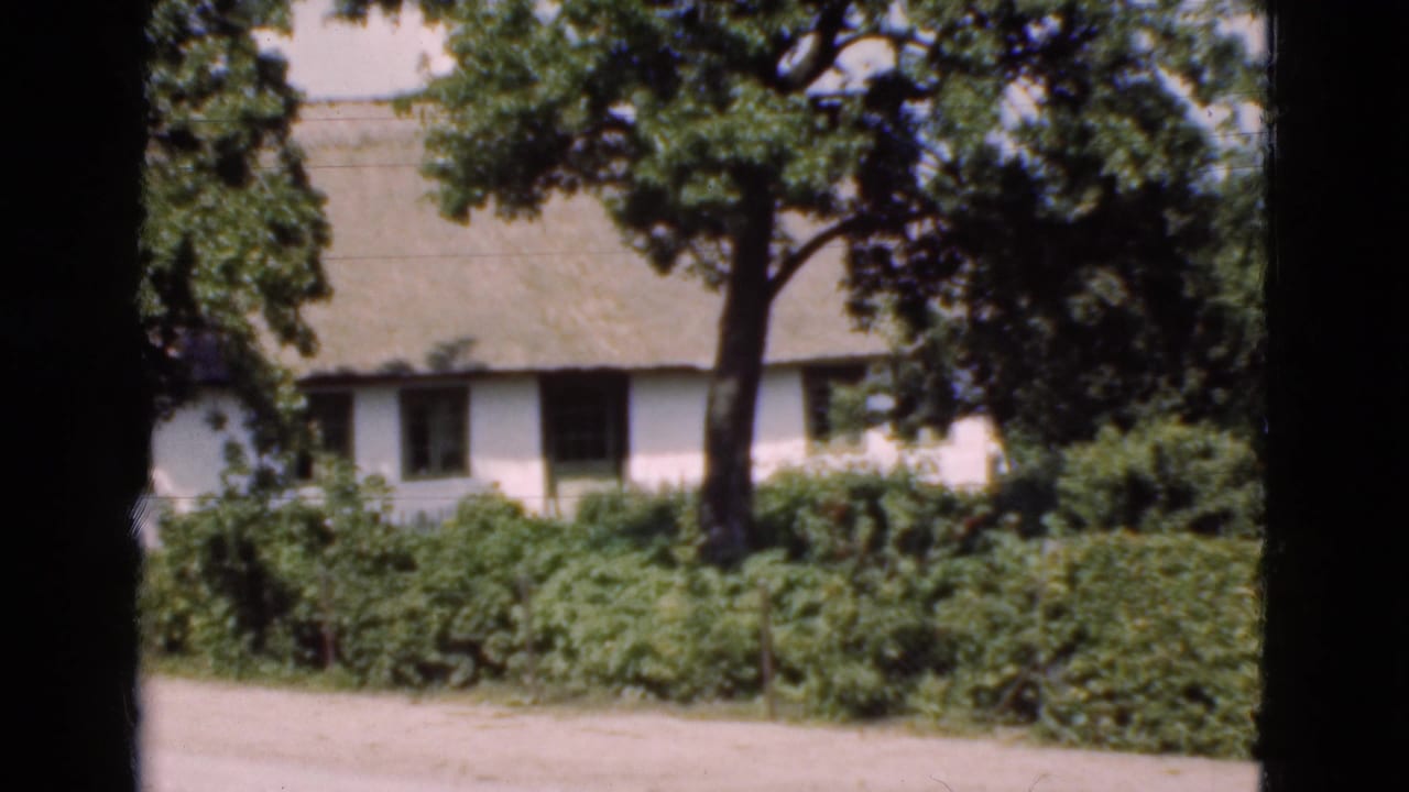 White thatched cottage partly shaded by trees behind hedges and a light yard.