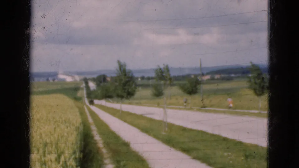1975 Danish countryside view with a paved road, roadside path, wheat field, young trees, and distant low buildings.
