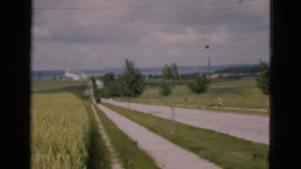 1975 Danish rural landscape with wheat beside a road and path, young trees, distant buildings, and soft overcast light.