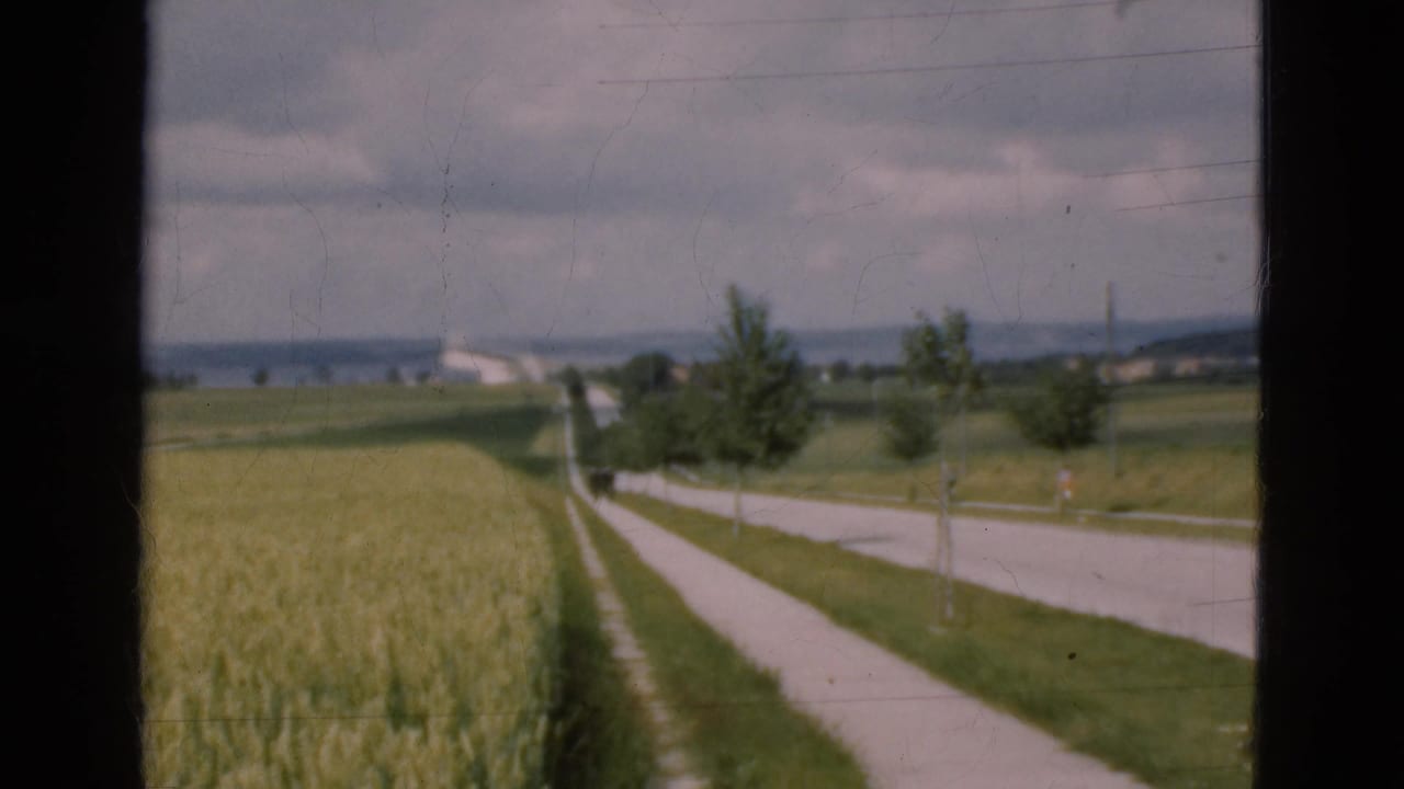 Rural road bordered by fields, trees, and distant farm buildings under a cloudy sky.