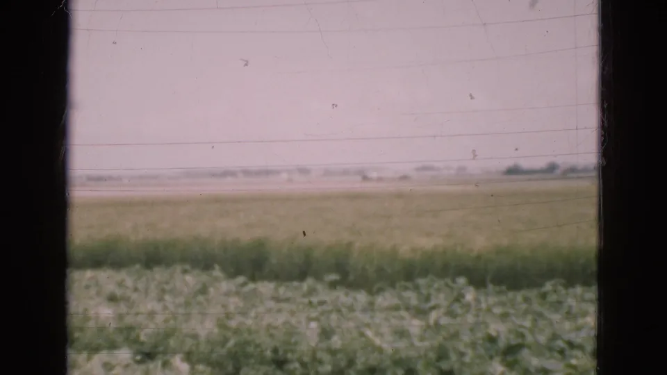 Soft 1975 8mm view of Danish farmland with green foreground crops, pale sky, and indistinct low structures along the horizon.