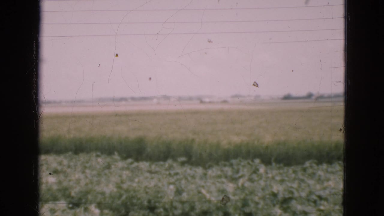 Flat green field and distant horizon seen through dark vertical window bars.
