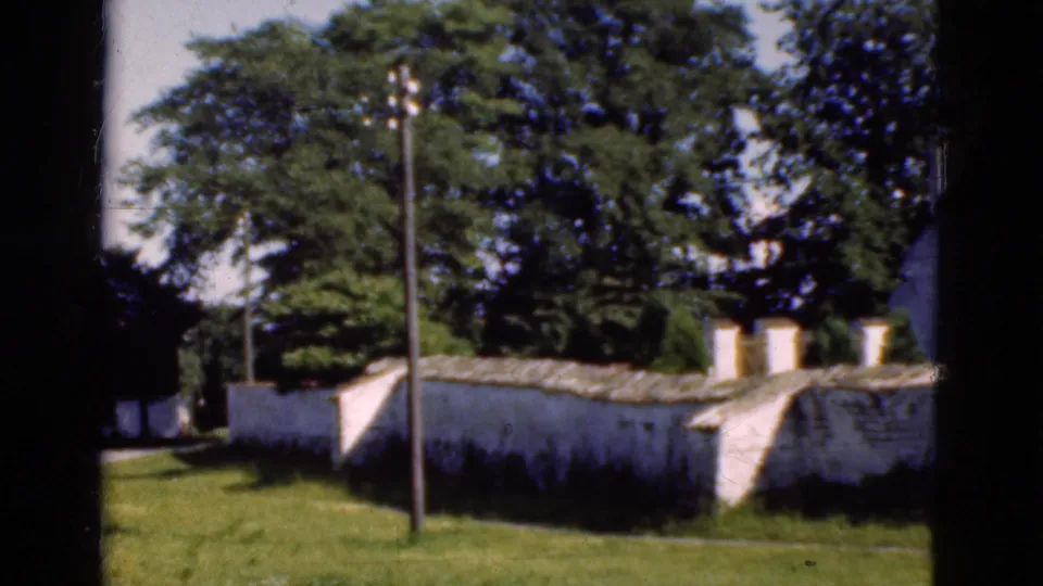 A roadside view in rural Denmark shows a stone wall, grass, utility pole, and dense trees in faded 8mm color.