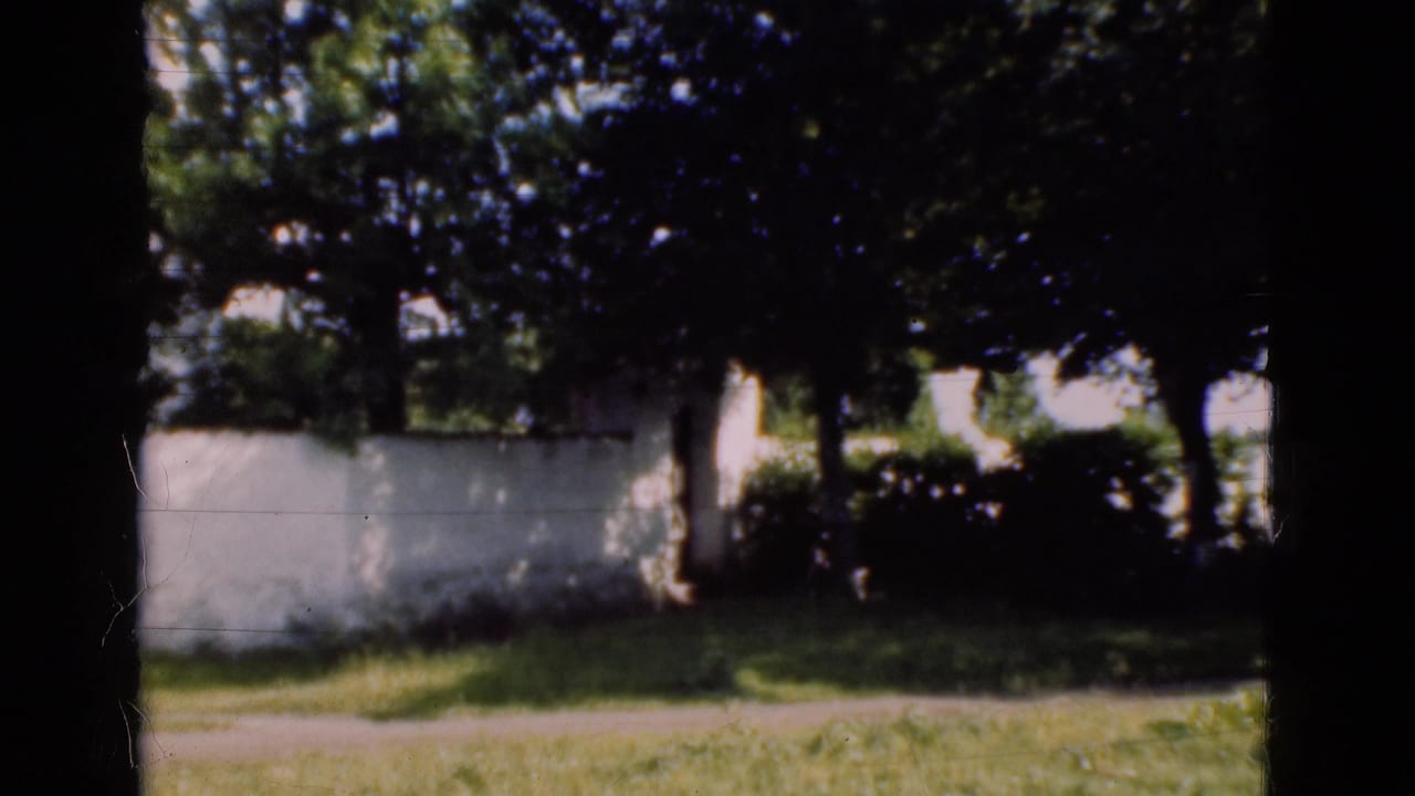 1975 Denmark 8mm frame looking past a white wall and trees over grass and a path as the camera pans away from the building.