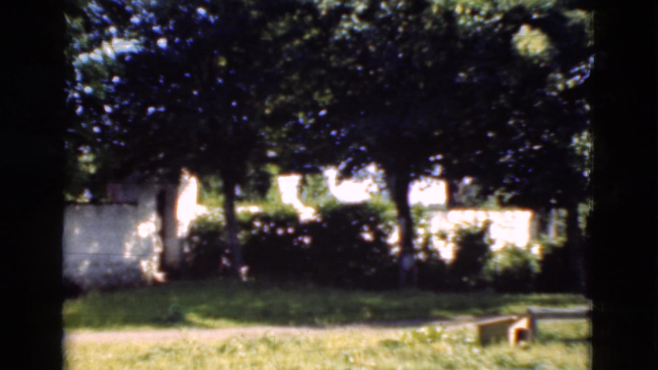 1975 8mm Denmark garden view with dense trees, shrubs, lawn, a path, and a low wooden bench seen through dark foreground framing.