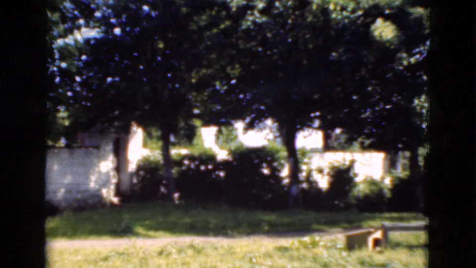 1975 8mm Denmark garden view with dense trees, shrubs, lawn, a path, and a low wooden bench seen through dark foreground framing.