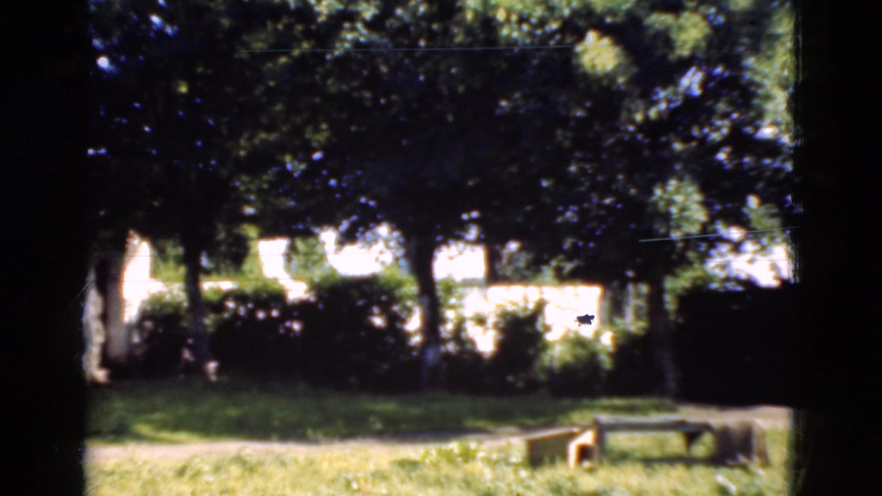 1975 Danish home-movie frame showing a leafy garden with shrubs, lawn, a simple bench, and white residential walls in the distance.