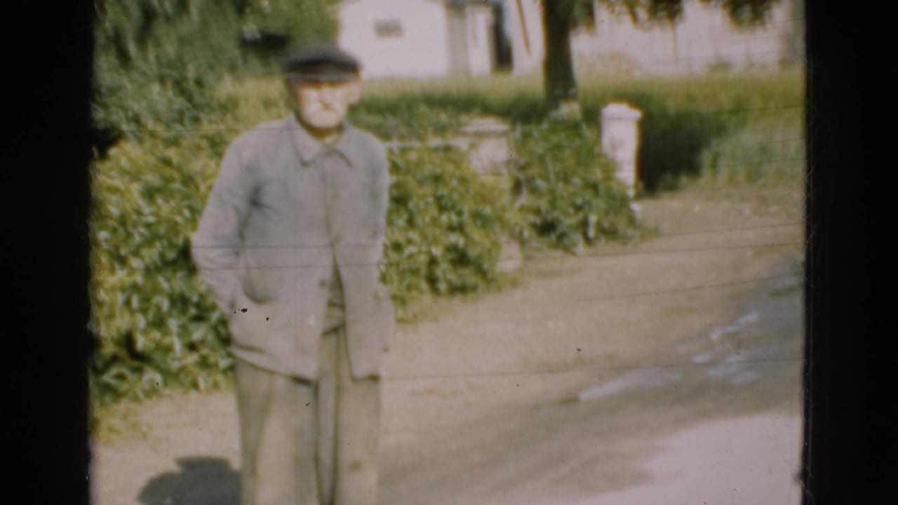 Elderly man standing closer to the camera beside a driveway and green hedges.