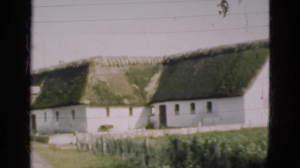 Final 1975 Denmark 8mm frame of the white farmhouse and mossy thatch, with fence posts, grass, a tree edge, and soft film grain.