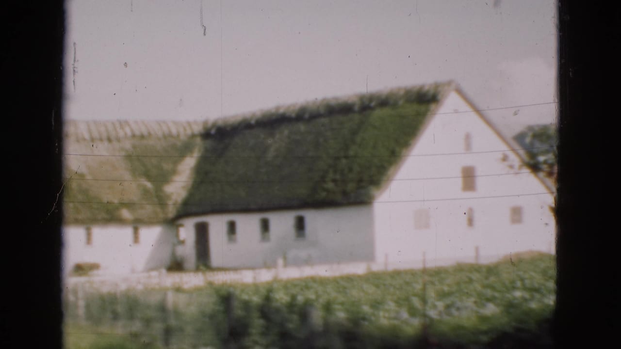 White rural building with thatched roof and gable end beside garden vegetation.