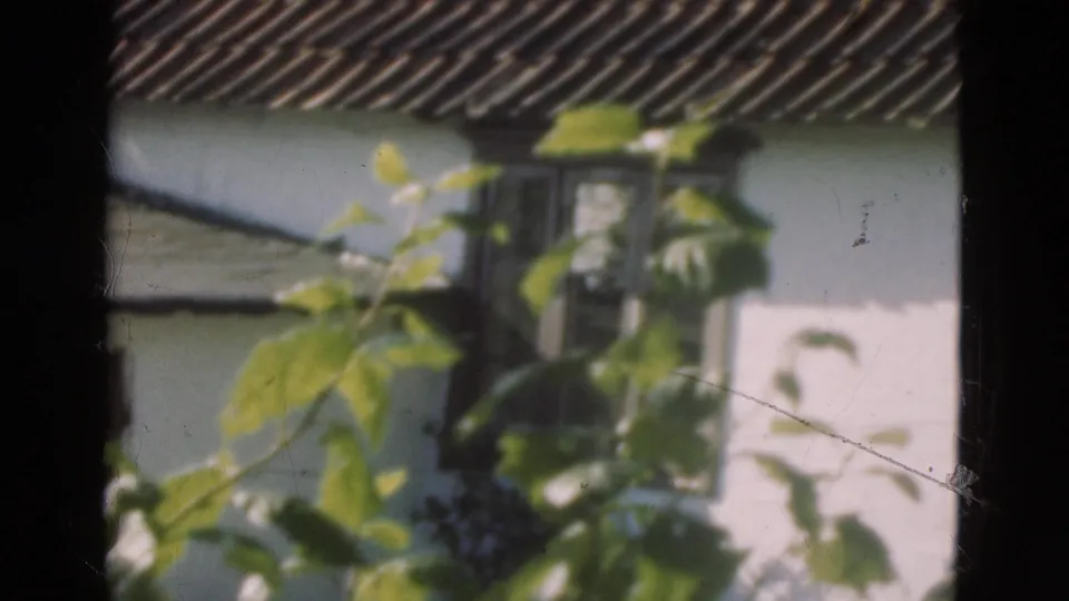 1975 Denmark 8mm frame showing a white building with dark windows and a tiled roof partly obscured by green leaves.