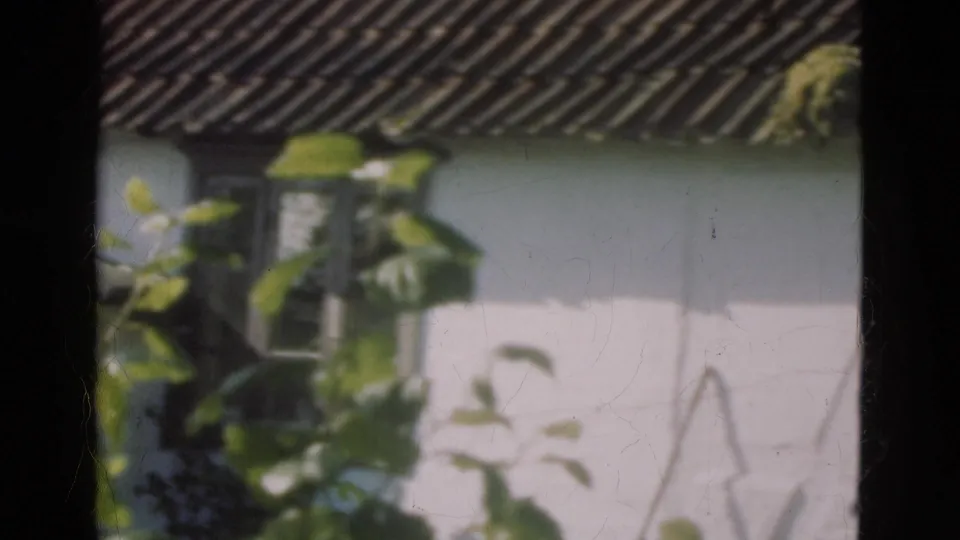 1975 Denmark 8mm frame of a white building facade and roof tiles viewed past leafy branches, with soft handheld framing.
