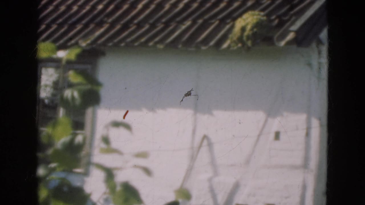 White rural building seen through a dark window frame with tiled roof and foliage at left.