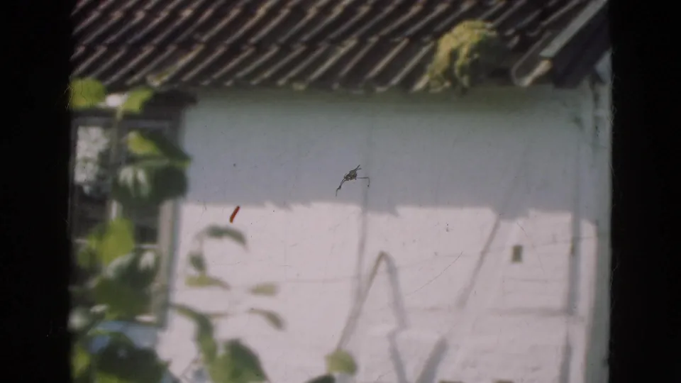 1975 Denmark 8mm frame showing a white rural house exterior through a dark window frame, with roof tiles, foliage, and soft garden shadows.