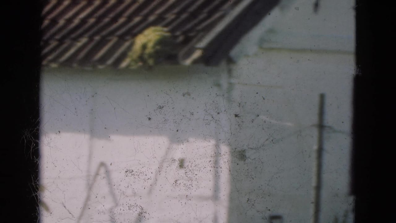 1975 Denmark 8mm frame of a whitewashed rural wall and tiled roof seen through a dark window frame, with visible dust and scratches.