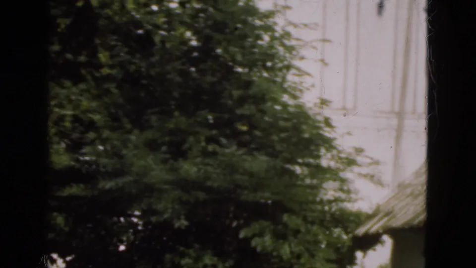 1975 Danish 8mm frame with leafy garden foliage in front of a pale residential wall and sloping roof edge.