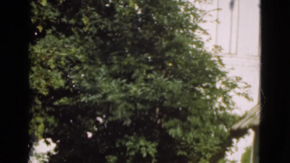 1975 Danish home-movie frame centered on a dense green tree against a pale residential exterior wall.